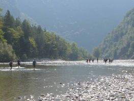 25 Tessin 3 005.jpg